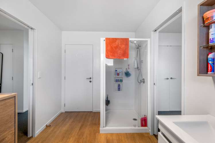 24 Ludlow Drive Ashburton_21