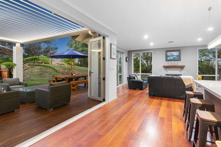 194B Horseshoe Bush Road Dairy Flat_10