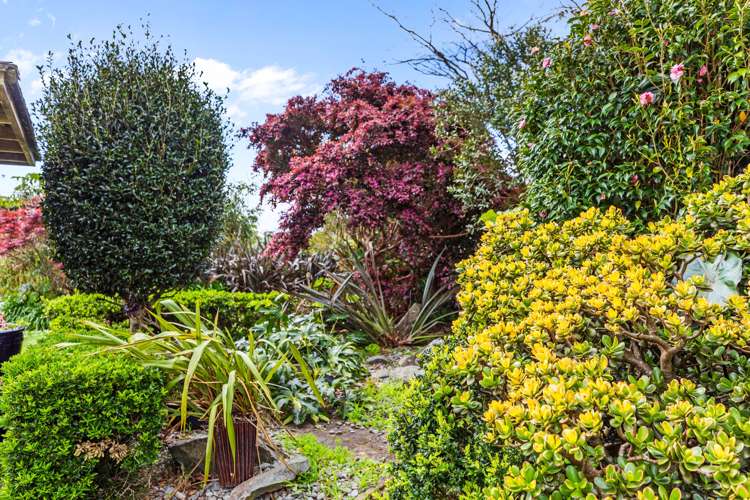 21 Walnut Grove Omokoroa_7