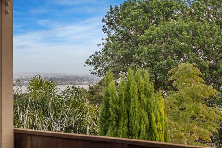 1 Pluto Place Beach Haven_15