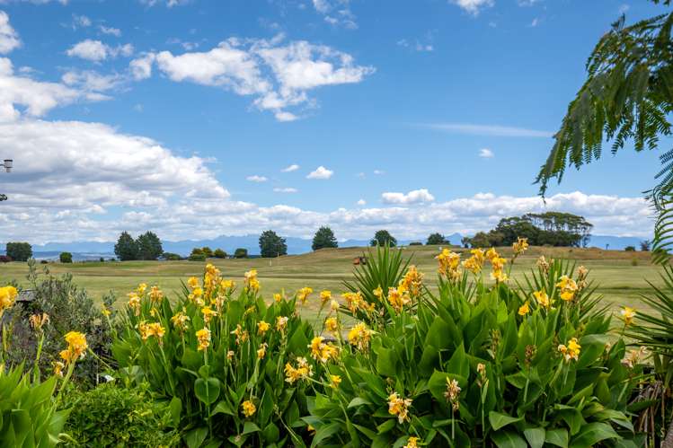 19 Chandler Street Tahunanui_22