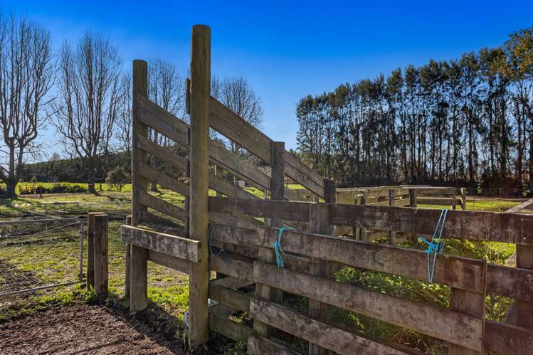 24 Willow Lane Edgecumbe_20