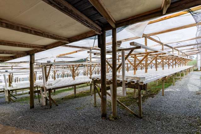 413 Otaika Valley Road Otaika_3