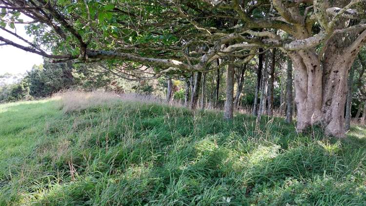 Lot/1 Arcadia Road Paparoa_11