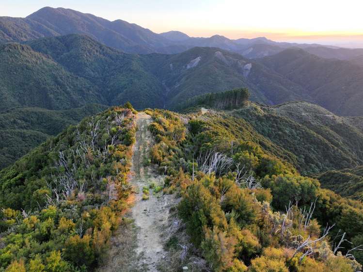 Kaiwaka Road Martinborough South Wairarapa Rural Property For