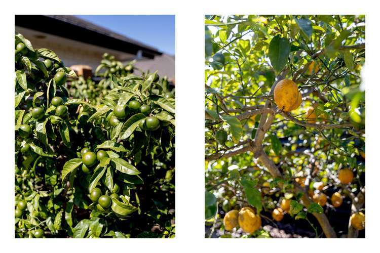 3 Landward Close Ohope_19