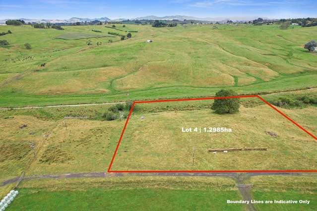 Lot 4-159 Renown Road Waikokowai_3