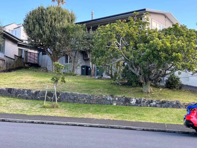 19A Glover Road St Heliers_1