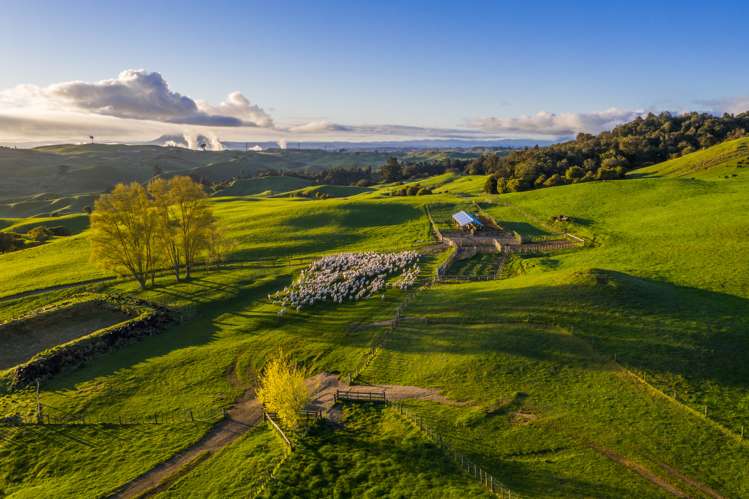 1274 Poihipi Road Oruanui_12