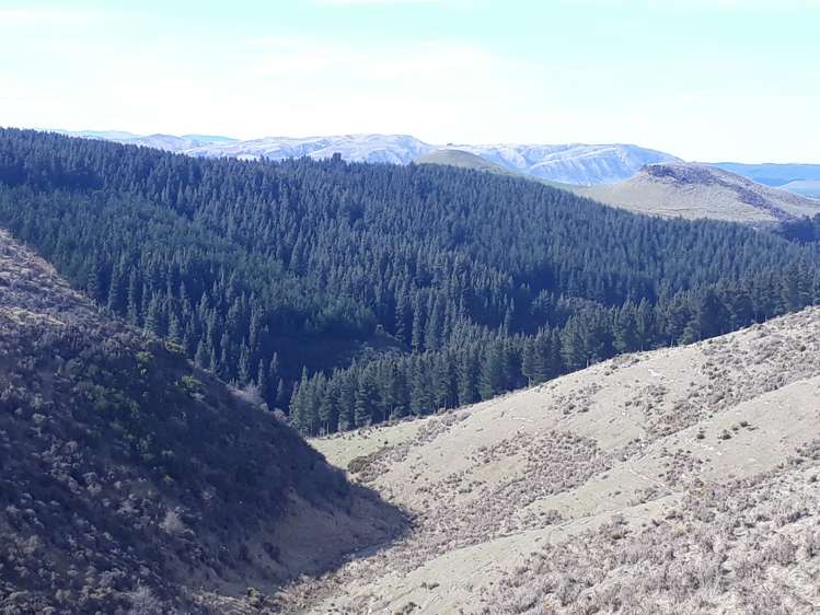 86 West Maerewhenua Road North Otago Surrounds_8