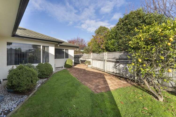 248G Annesbrook Drive Tahunanui_17