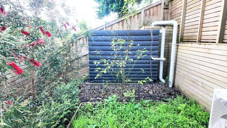 44D Cyclarama Crescent Massey_15