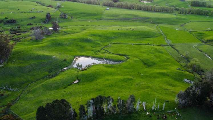 108 Range Road Kawakawa_12