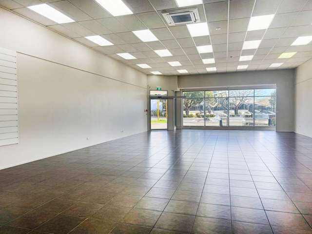 29 Veronica Street New Lynn_3