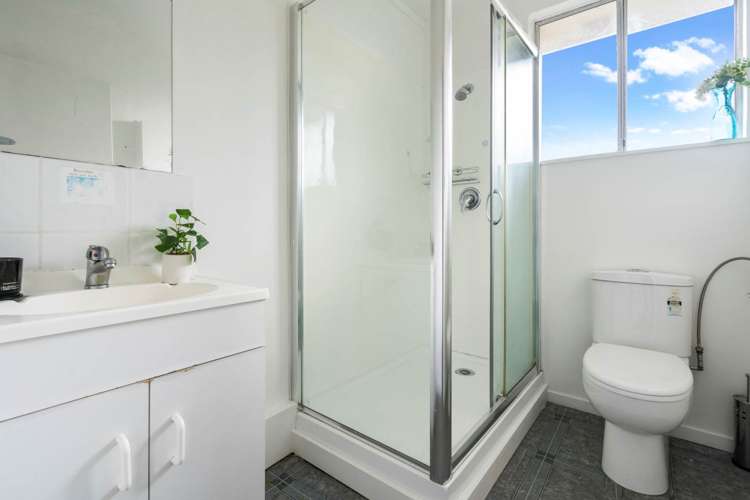 73 Seabrook Avenue New Lynn_9