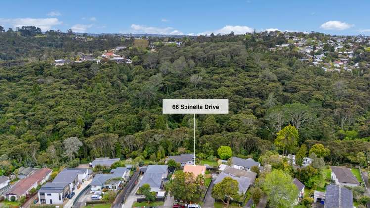 66 Spinella Drive Bayview_6