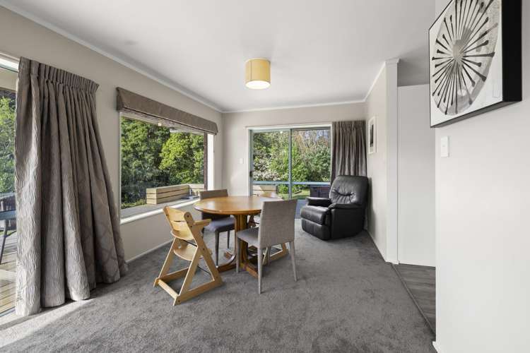 1058 Old Mountain Road Raglan_9