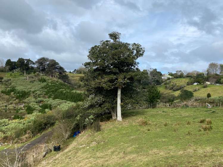 259 Kaipo Flats Road Onewhero_6