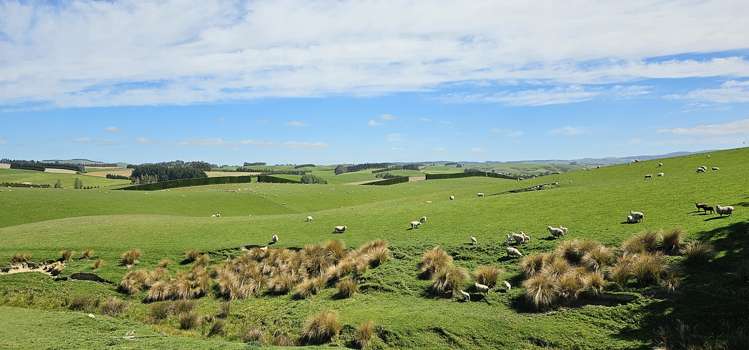 919 Miller Road Clinton and Surrounds_21