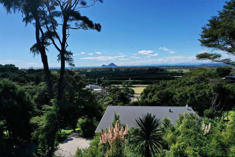 4 Kereru Lane Matata_25