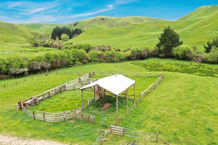 166 Airstrip Road Pikowai_3