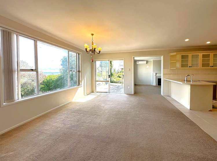 354 Hillsborough Road Hillsborough_24