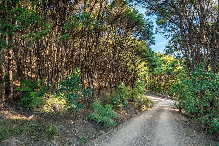 1a Obrien Road Waiheke Island_25