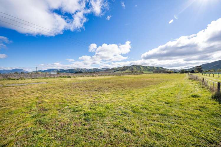 1960 Redwood Pass Road Seddon_26