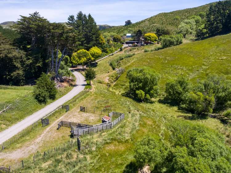 865 Mangamahoe Central Road Masterton_17