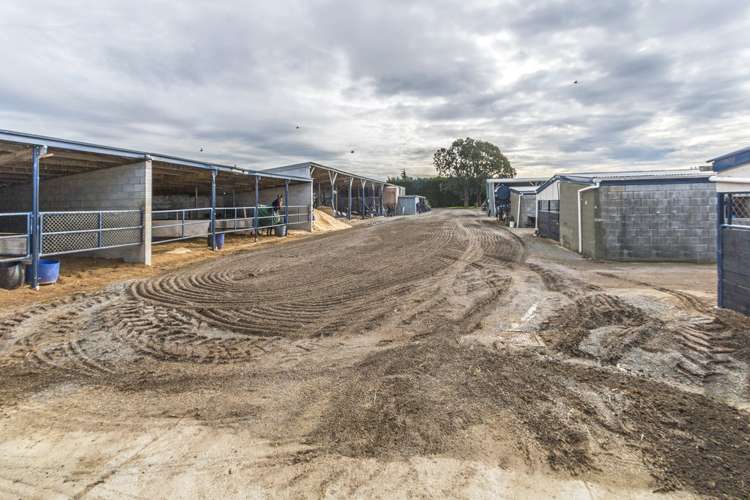 159 Larcombs Road Rolleston_14