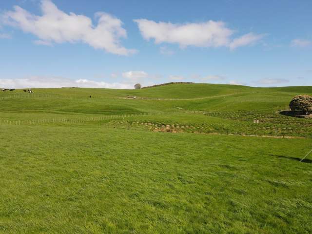 348 Orini Road Taupiri_1