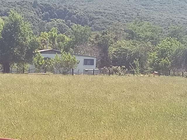 Puhunga Road Waipiro_3