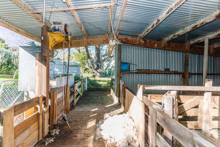 241 Adelaide Road Dannevirke_22