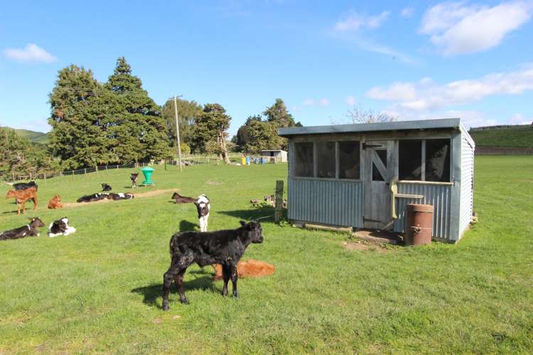 579 Kopikopiko Road Eketahuna_9