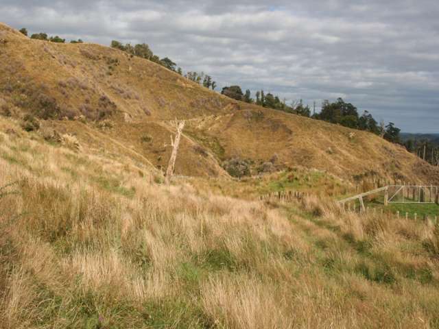 1231 Okahutiria Road Waverley_4