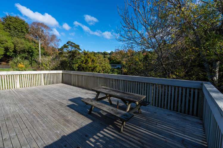 10 Ryan Street Portobello_16