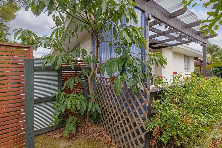 20 Ranfurly Street Solway_20