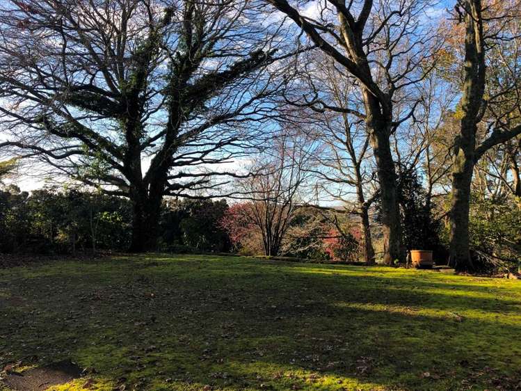 242 Redoubt Road Totara Park_16