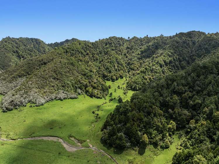 2060 Motu Road Opotiki_17