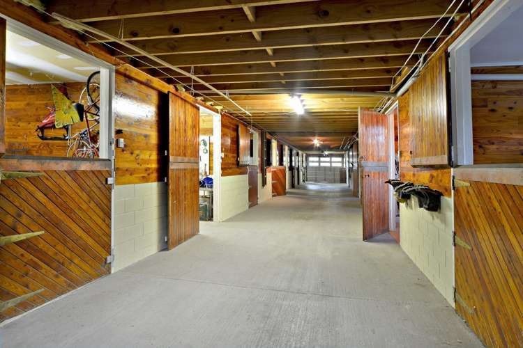 19 Frisken Road Flat Bush_5