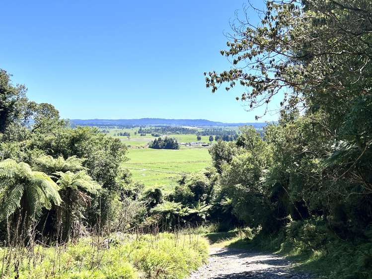 254 Doughboy Road Kokatahi_31