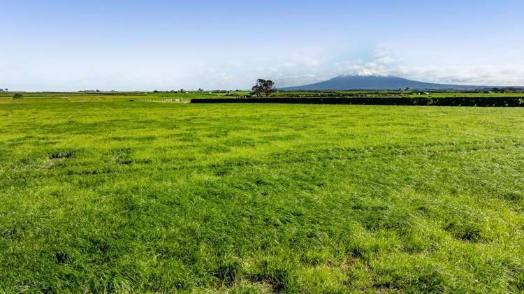 5B2A Hastings Road Okaiawa_3