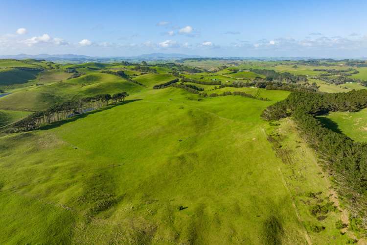 386 Rehutai Road Dargaville Surrounds_16