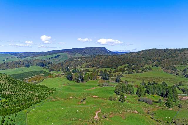 1271 Rakauroa Road Matawai_3