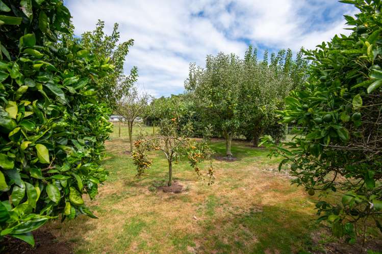 186 Holland Road Puketaha_17