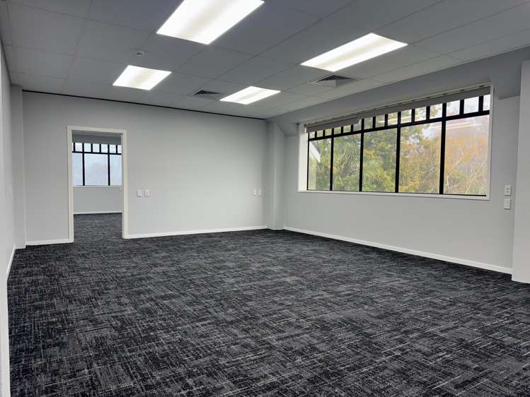 Tenancy 2/18 Puutikitiki Street Hamilton East_6