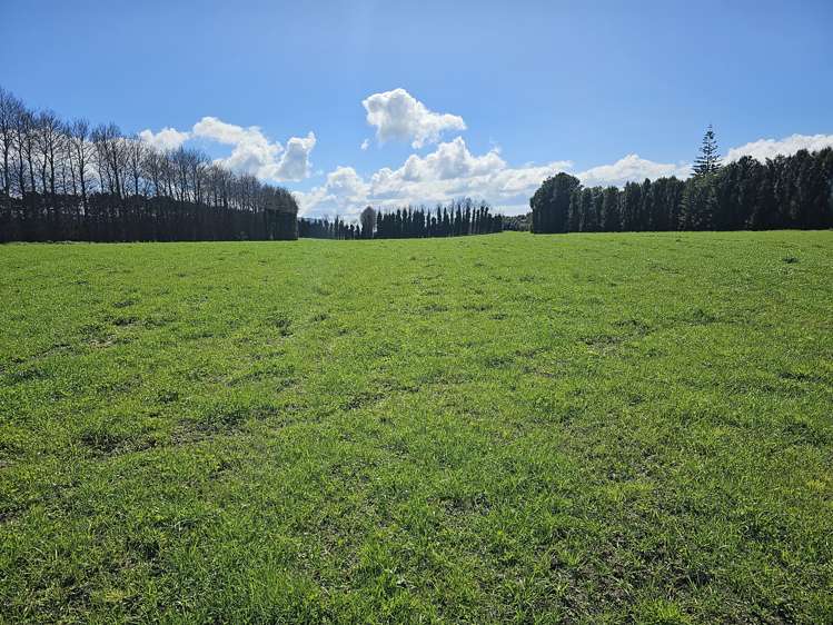 134a Athenree Road Athenree_9