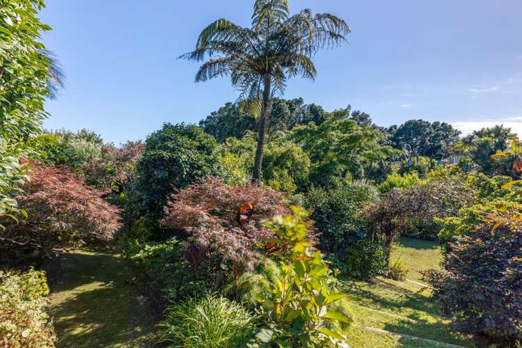 171 Molesworth Street New Plymouth Central_12