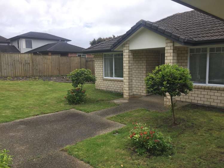 91 Kitchener Road Pukekohe_1