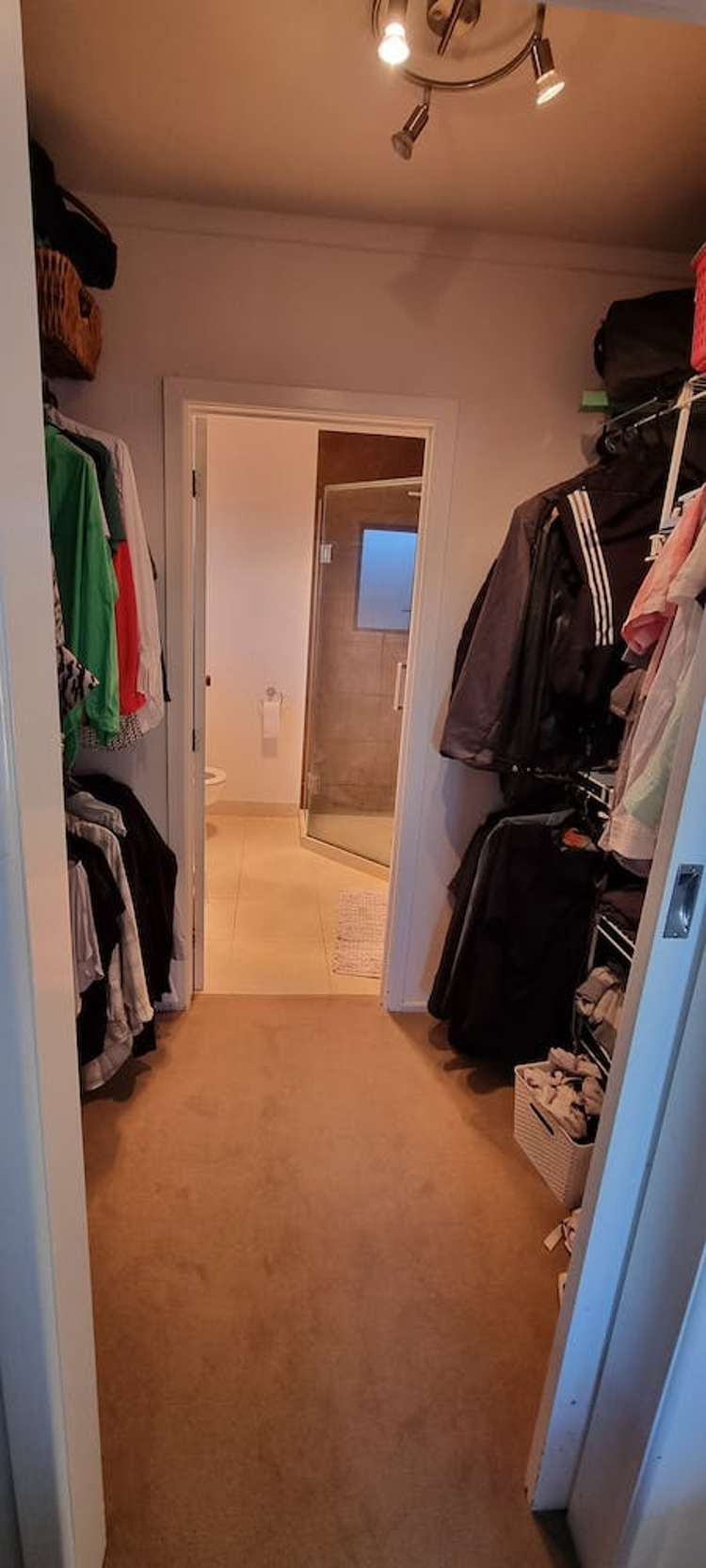 162 Rangatira Road Beach Haven_7